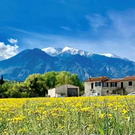 Le Canigou 3 Etoiles 公寓 *